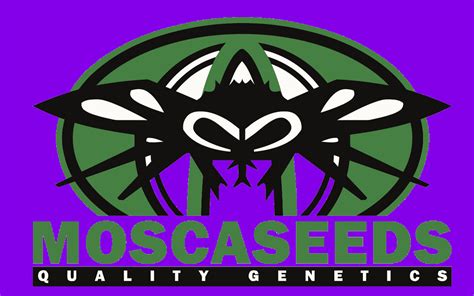 Mosca logo clr lg purple | MOSCA SEEDS