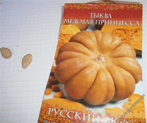 Тыква Медовый Десерт Отзывы Фото — Картинки фотографии