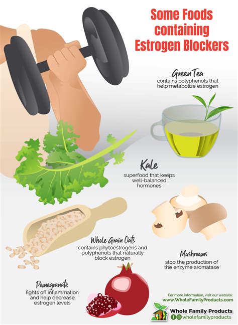 Curcumin Estrogen Blocker at Zelma Harvey blog
