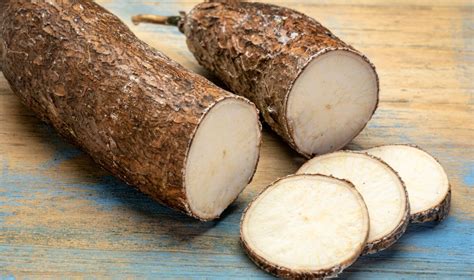 cassava root  rich  vitamin   dont eat  raw heres