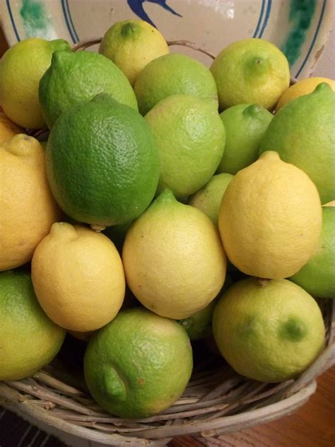 Limoni sfusi