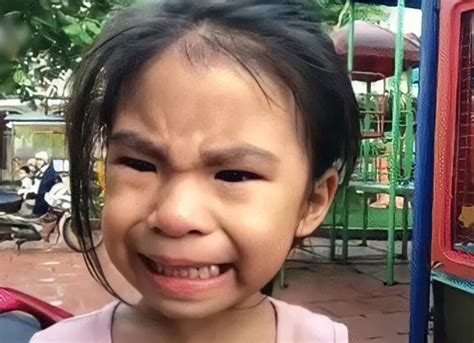 anh bat luc meme duoc yeu thich nhat hien nay
