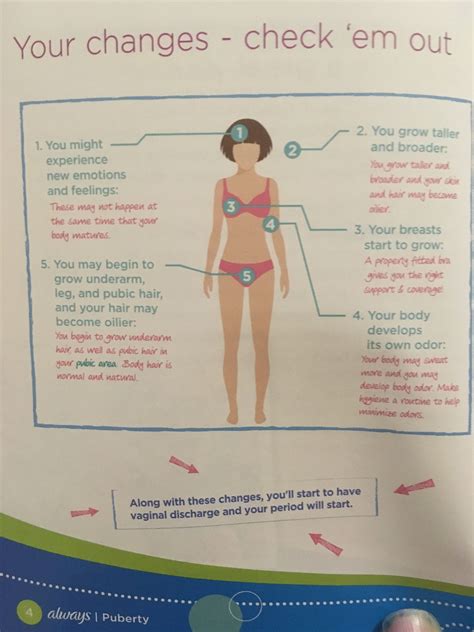 Changes During Puberty