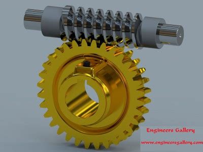 Types of Gear : Worm & Worm Wheel | Engineers Gallery