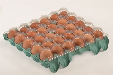 Embalagens De Ovo De Galinha - Embalagem para Ovo Galinha Piauí - Embalagem Ovo de Galinha Atacado ...