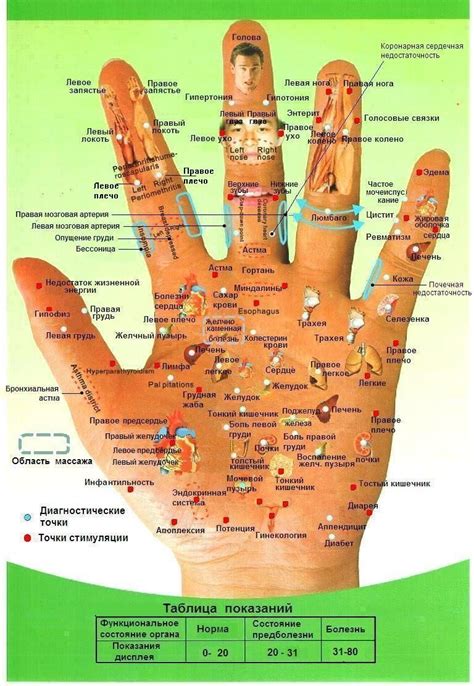 Су-джок семянотерапия - эффективное лечение дома | Похудение, Развитие ...