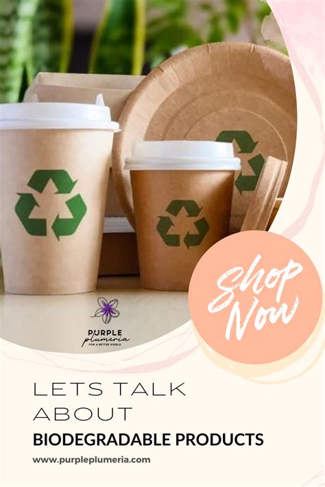 lets talk  biodegradable products artofit