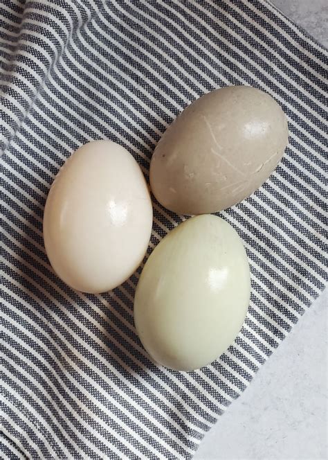 poultry egg identification chart chicken duck goose quail turkey emu