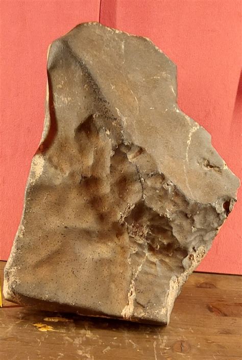 The largest sample of Mars on Earth studied by Unifi researchers