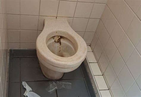 Police hunt for person spreading poo on walls of public toilets in Mid ...