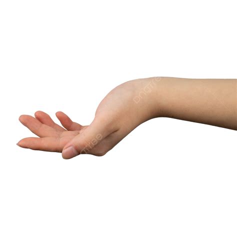 arm gestures limb gesture skin png transparent image  clipart