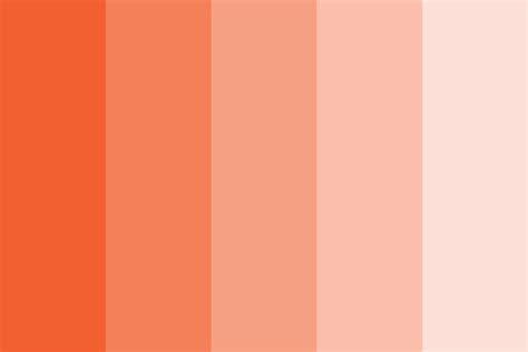 Mamey Color Palette