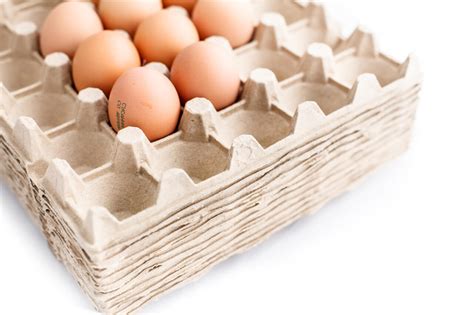 Купить ячейки для яиц 30 шт мини — цена от 2,1 ₽/шт — кассета для 30 ...
