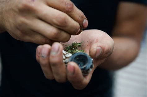 Synthetic Marijuana Stock Photos, Pictures & Royalty-Free Images - iStock
