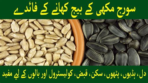 Surajmukhi Ke Beej Khane Ke Fayde l Benefits of Sunflower Seeds l ...