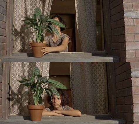 Leon: The Professional Leon sure loved his plant...that was the cutest ...