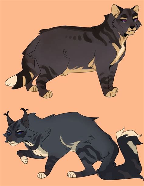 Pinterest | Кошачьи картины, Кошачий рисунок, Кот-воитель