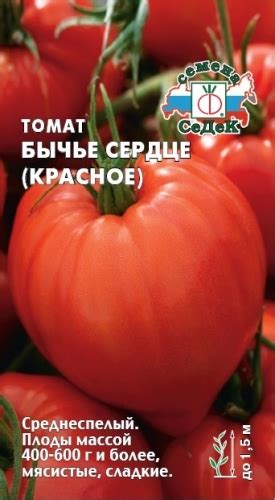 Томат Бычье сердце: описание сорта, ОТЗЫВЫ (20), фото