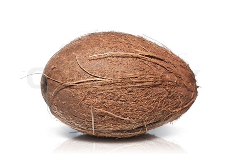 coconut isolated on white | Stock image | Colourbox