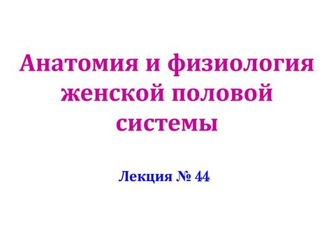 Анатомия и физиология женской половой системы - презентация онлайн