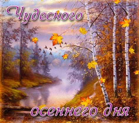 Гифки добрый день и хорошего настроения (15 gif's)