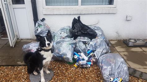 5 days of picking up cans on dog walks, and I have still not scratched ...