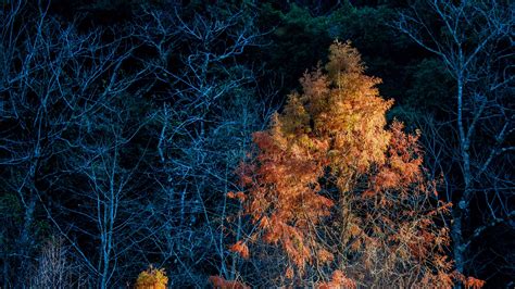 Autumn Night Wallpapers - Wallpaper Cave
