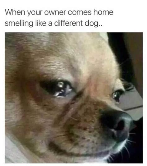 27 FRESH MEMES FOR TODAY #7 – FunnyFoto