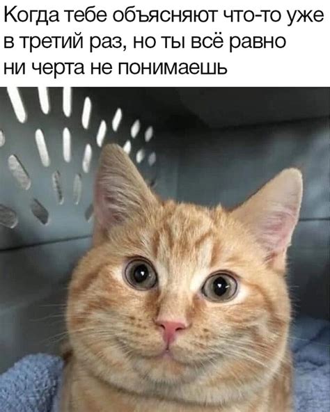 Непонятно | Пикабу