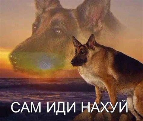 мемные картинки | Рабочие мемы, Мемы, Веселые мемы