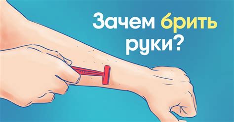 Факты о Японии
