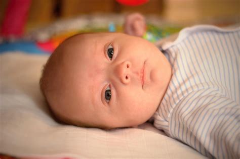 Baby Child Infant Little - Free photo on Pixabay - Pixabay