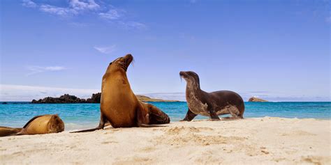 Ecuador Travel & Galapagos Tours with Enchanting Travels