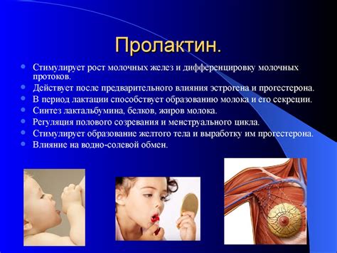 Гипоталамо-гипофизарная система. Гормоны гипофиза - презентация онлайн