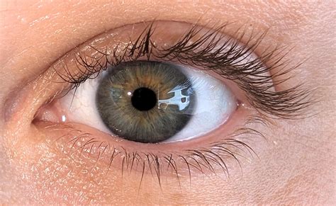 central heterochromia : r/eyes