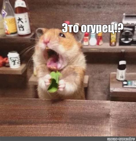 Создать комикс мем "грустный хомячок, забавные хомяки, хомяк" - Комиксы ...