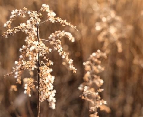 Highlight Real: Seeing Through New Eyes – Make Something Meaningful