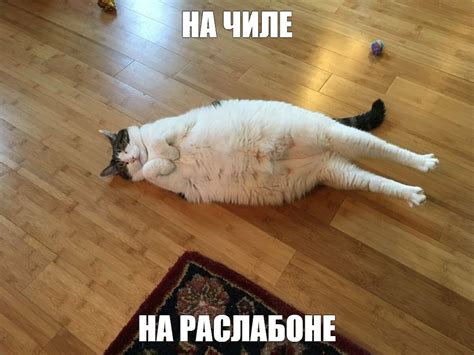 Мем: "НА ЧИЛЕ НА РАСЛАБОНЕ" - Все шаблоны - Meme-arsenal.com