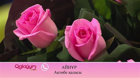 Гүл кімнен келді? - YouTube