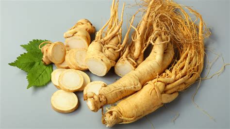 Дикий женьшень (Panax ginseng, корень жизни, человек-корень): что это ...