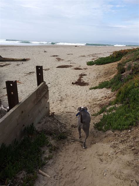 TW Pornstars - 1 pic. Candle Boxxx. Twitter. Gravy said she wanted to