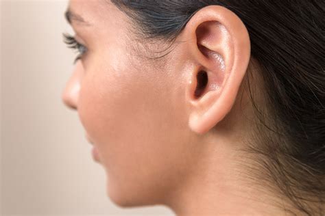 Outer Ear: Anatomy, Location, and Function