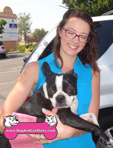 Are Boston Terrier Good Cats