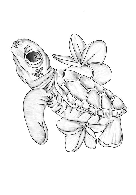 Pin de Estefania Jrmllo en Casero en 2025 | Dibujo de tortuga, Pinturas