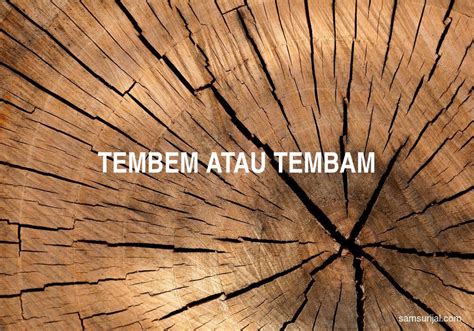tembem  tembam kamus besar bahasa indonesia kbbi samsurijalcom