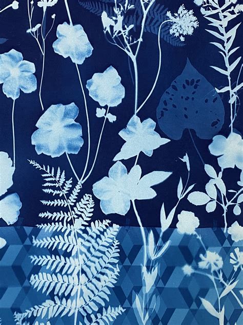 Julia Whitney Barnes, Cyanotype Painting (Anemones, Rose of Sharon