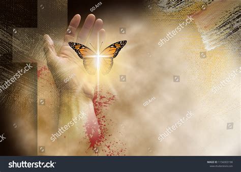 253 Reborn Again Images, Stock Photos, 3D objects, & Vectors | Shutterstock