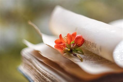 мысли | Фотограф Ирина Горюкина | Фото № 59093 | Still life photography ...