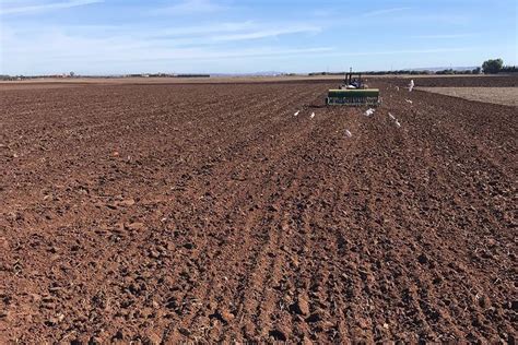 berrchid berrechid morocco tourism info