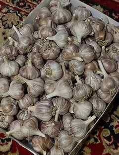 Create meme "garlic" - Pictures - Meme-arsenal.com